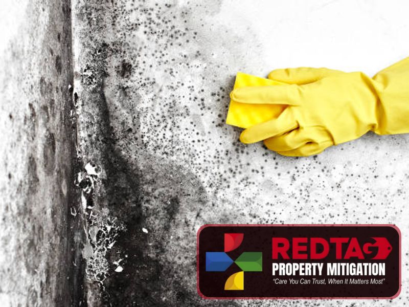 affected material removal modesto ca