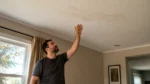 That Musty Smell After a Leak in Your Home? Here Is What It Usually Means