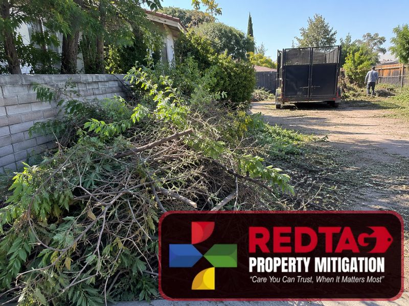 brush debris removal modesto ca